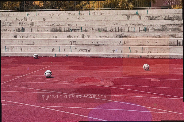 折线图显示数据刷新速度，曲线快速上升并标注“快”